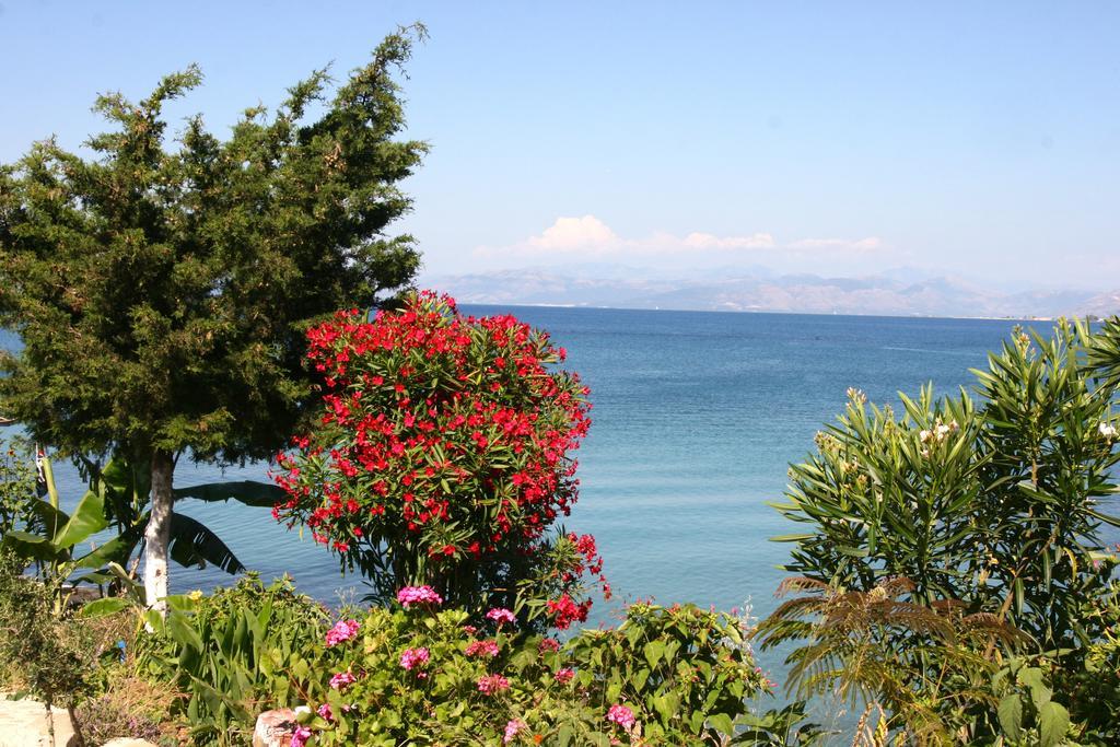 Pension Elena Agios Nikolaos  Экстерьер фото