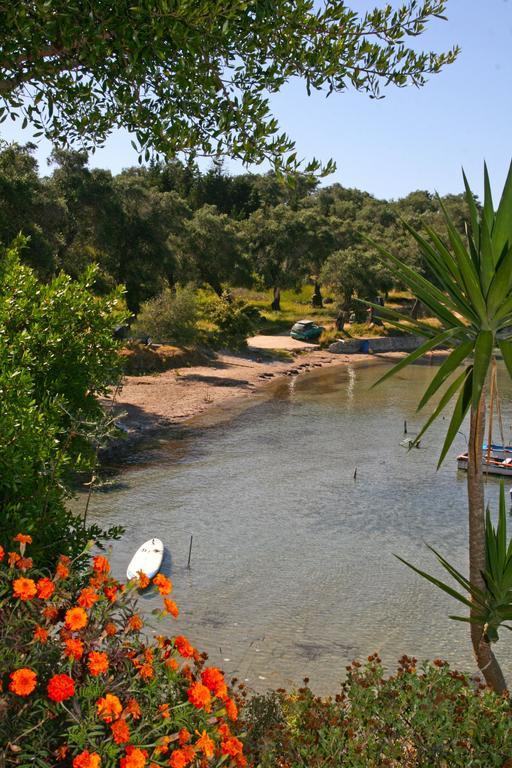 Pension Elena Agios Nikolaos  Экстерьер фото